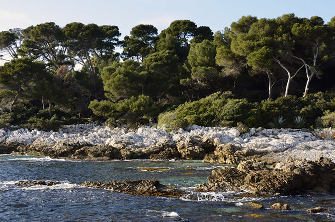 Cap d'Antibes French Riviera