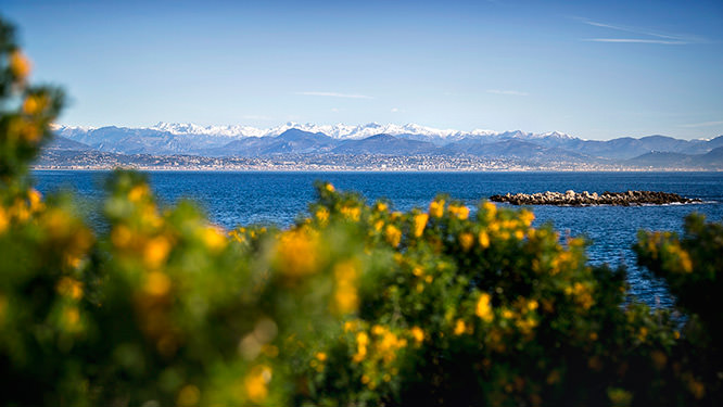 Cap d'Antibes French Riviera