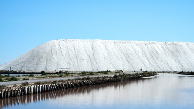 Salt Marsh - Salins du Midi