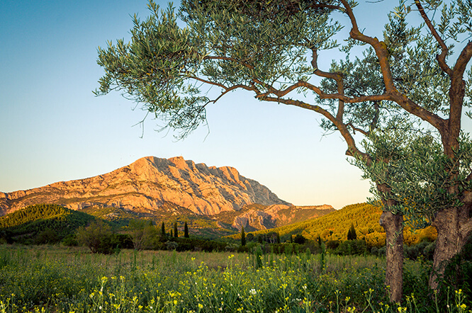 Montagne Ste Victoire