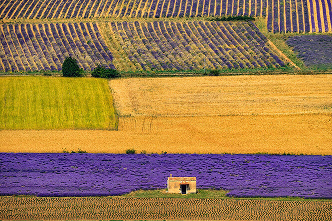 Valensole