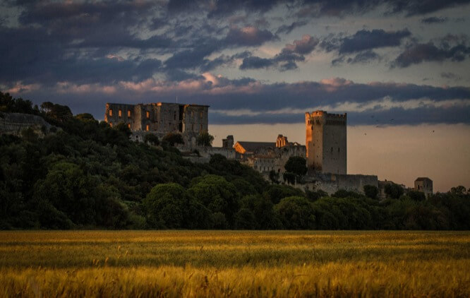 Abbaye de Montmajour