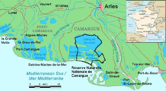 Camargue
