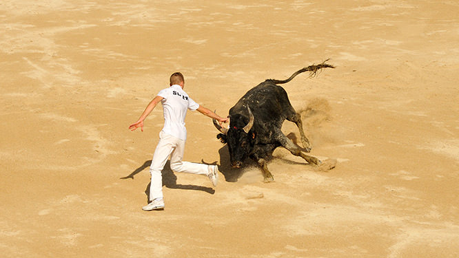 Course Camarguaise