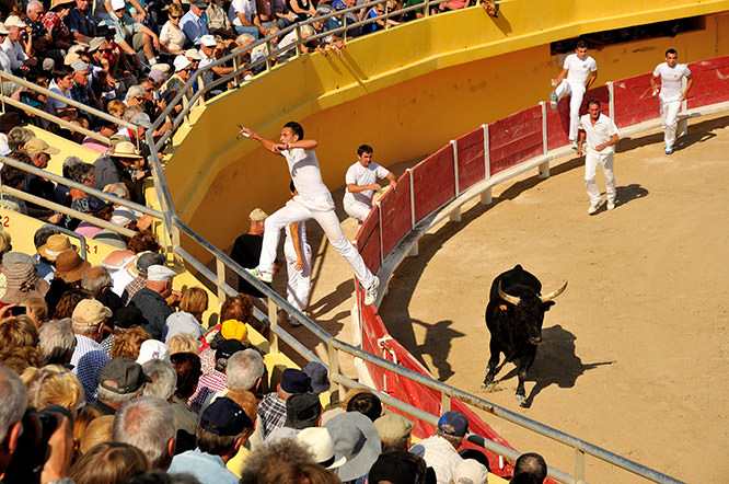 Course Camarguaise