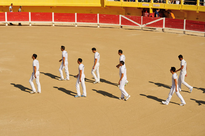 Course Camarguaise