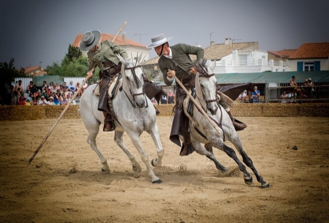 Féria du Cheval