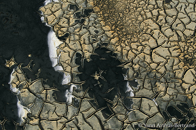 Cracked mud