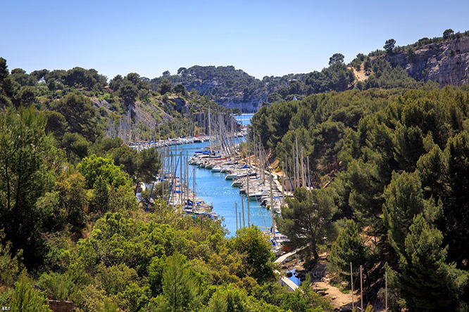 Cassis