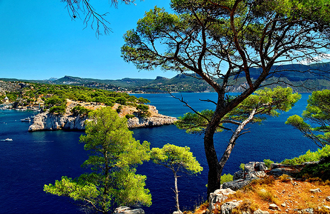 Cassis