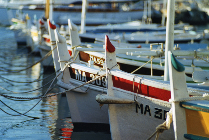 Cassis