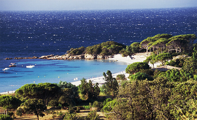 Palombaggia beach, south of Porto Vecchio