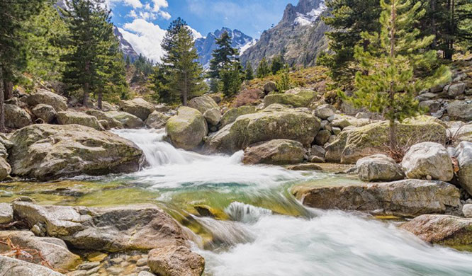 The cascades, waterfalls and snow capped mountains at Restonica valley near Corte