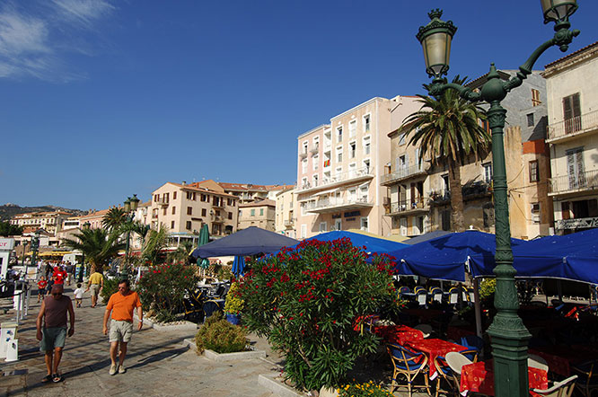 Calvi