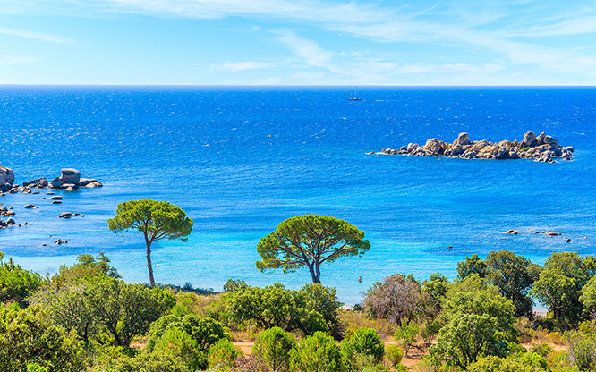 View of famous Palombaggia beach with pine trees and azure sea
