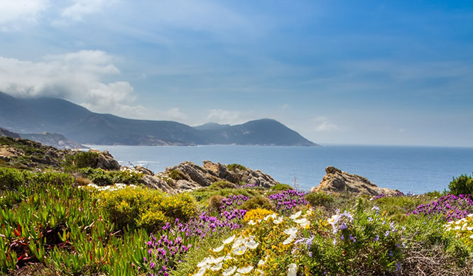 Spring in Corsica