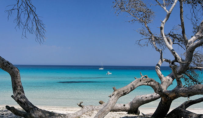 Saleccia beach