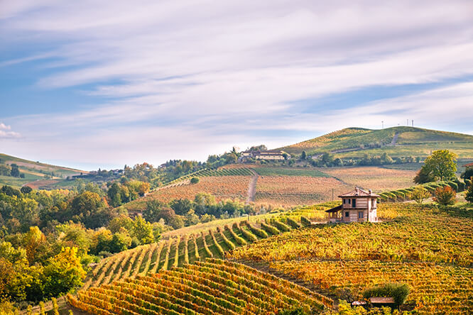 Langhe e Roero