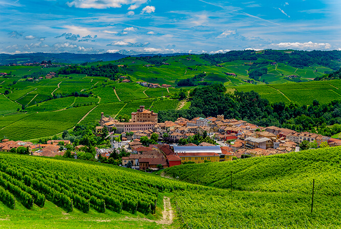Barolo