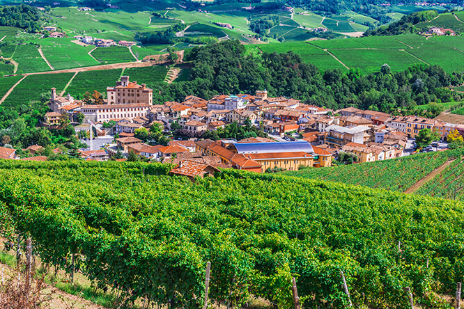 Barolo