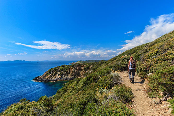 Hiking in Port-Cros