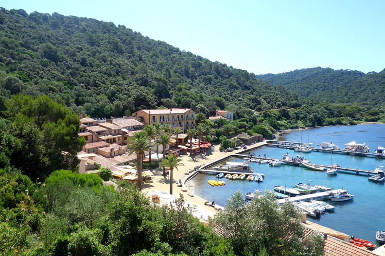 Port of Port-Cros