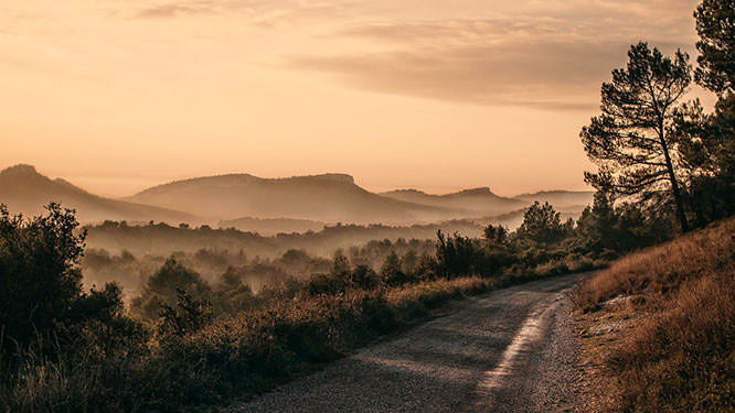 Les Alpilles