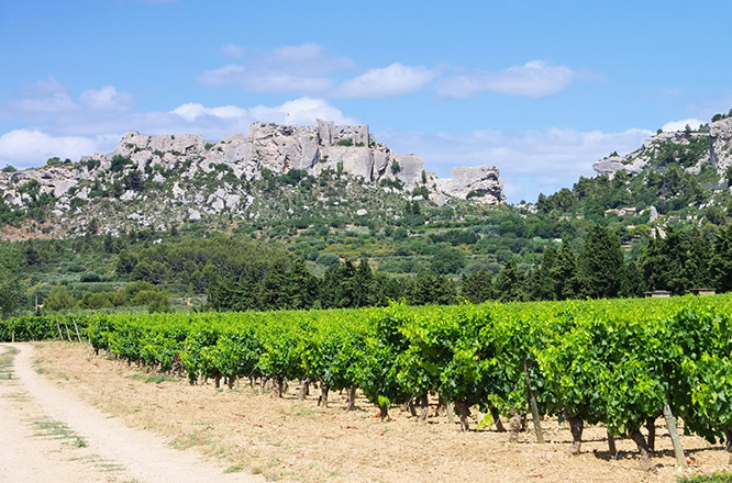 Vineyards in les Baux