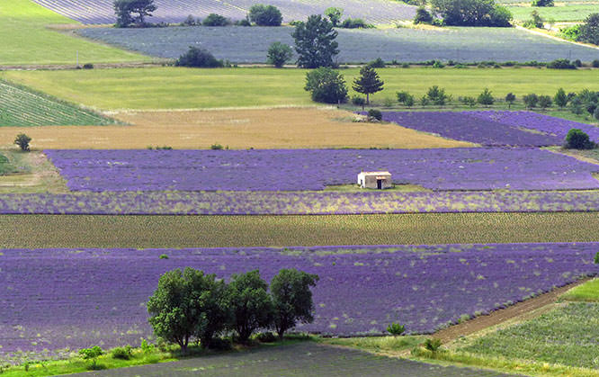 Luberon landscape