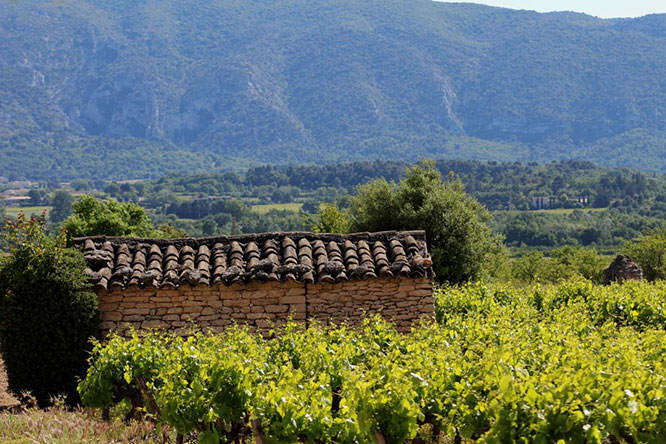 Cabanon in Luberon
