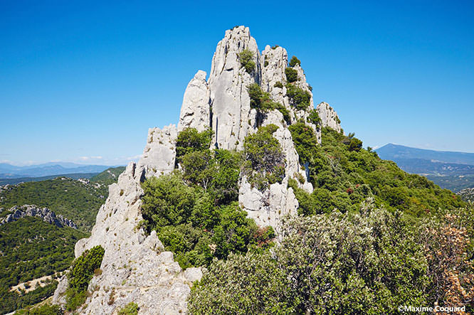 Dentelles de Montmirail