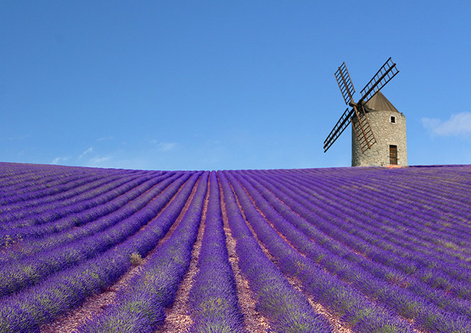Windmill in Provence
