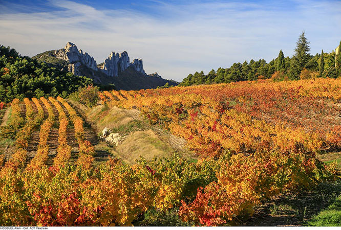 Dentelles de Montmirail