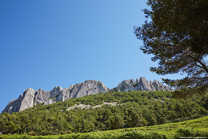 Dentelles de Montmirail