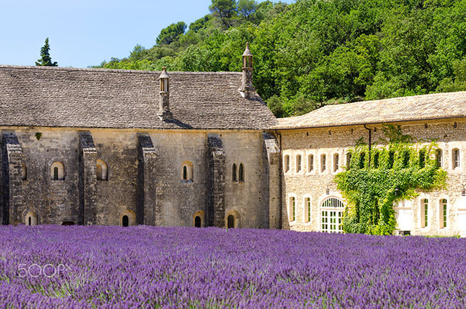 Monasteries of the Cistercian