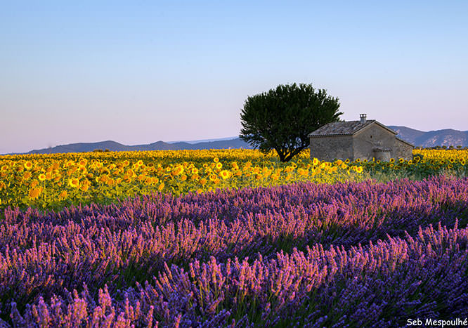 Provence landscape