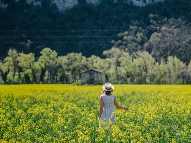 Valensole