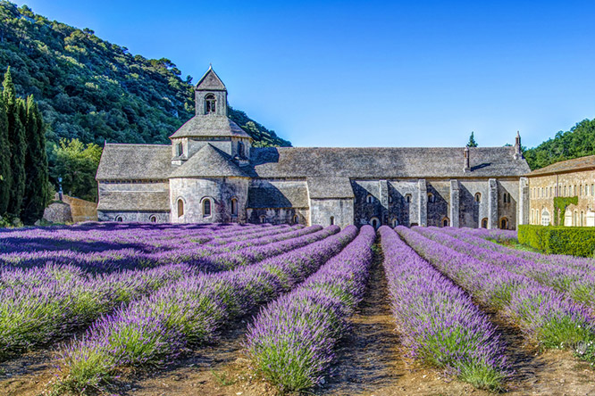 Sénanque Abbey