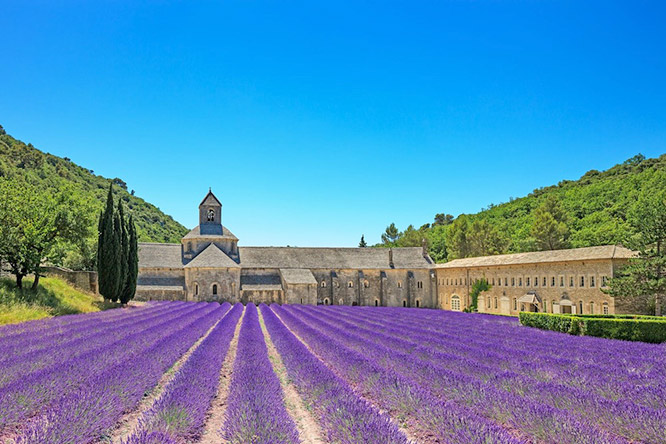 Sénanque Abbey