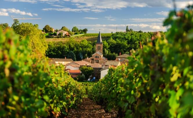 Vineyard and the town of Saint Julien in region Beaujolais