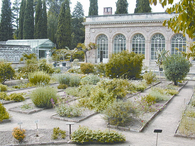 Jardins des plantes Montpellier