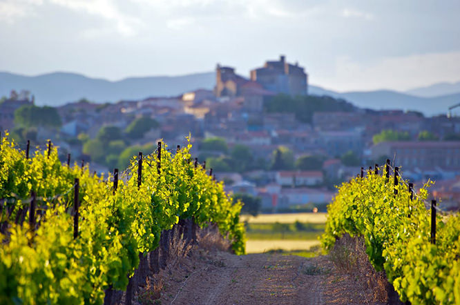 The Château of Puissalicon
