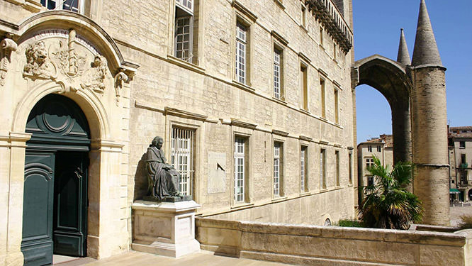 Faculty of Medicine