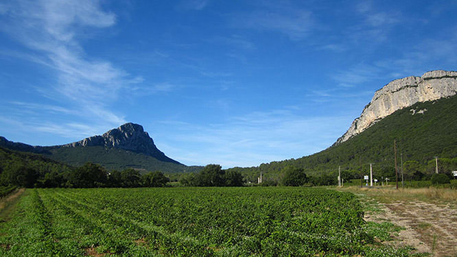Peak St Loup