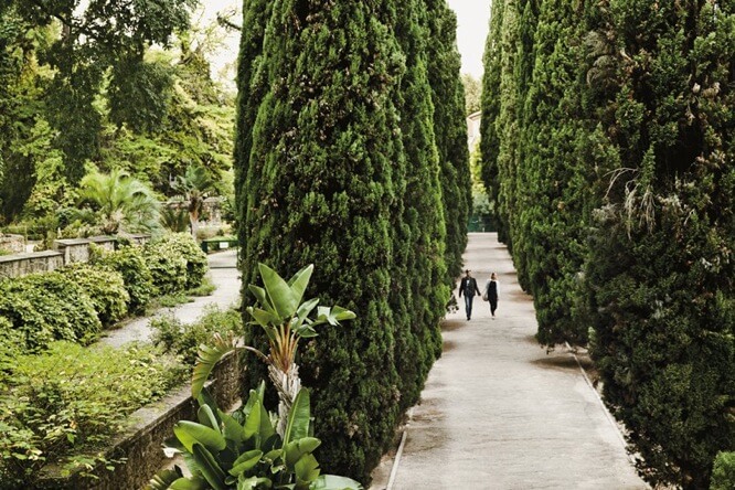 The Jardin des Plantes in Montpellier