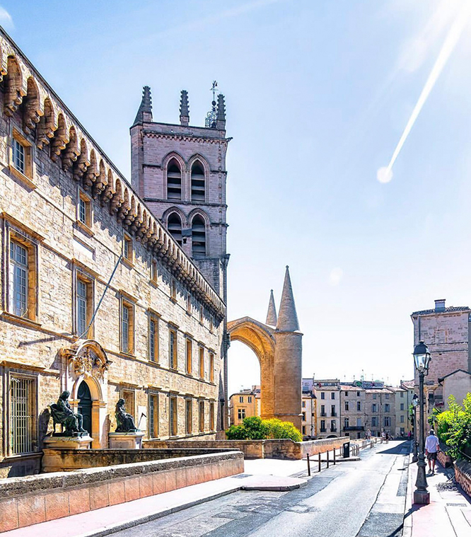 cathédrale saint pierre