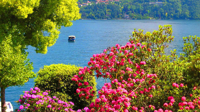 Como
