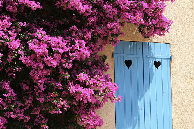 Pretty house in Porquerolles
