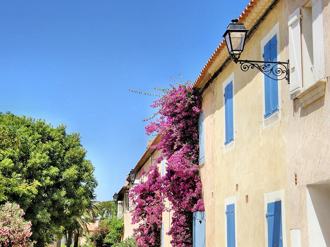 Village houses in Porquerolles