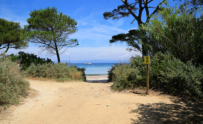 Beach in Porquerolles